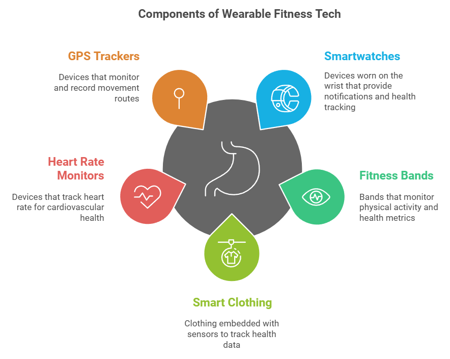 Components of Wearable Fitness Tech