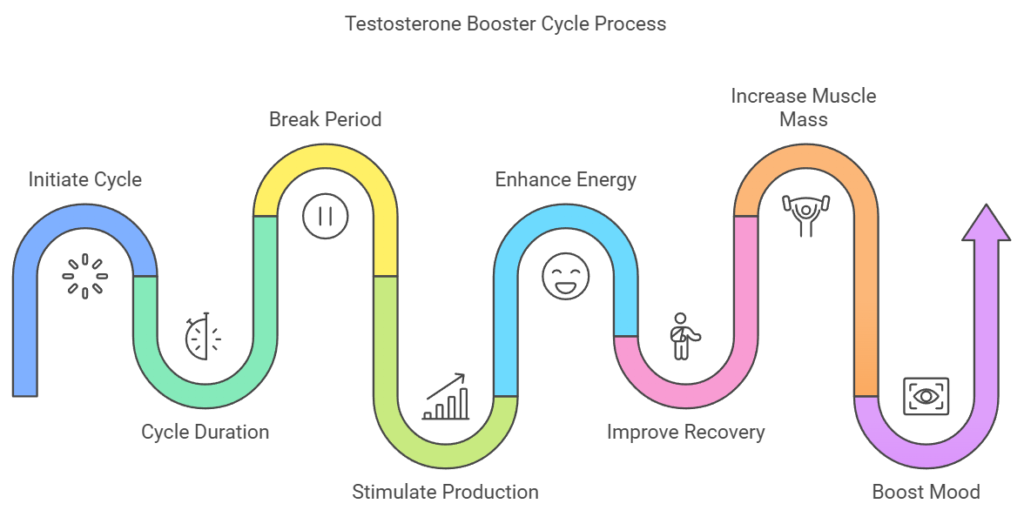 Testosterone Booster Cycle