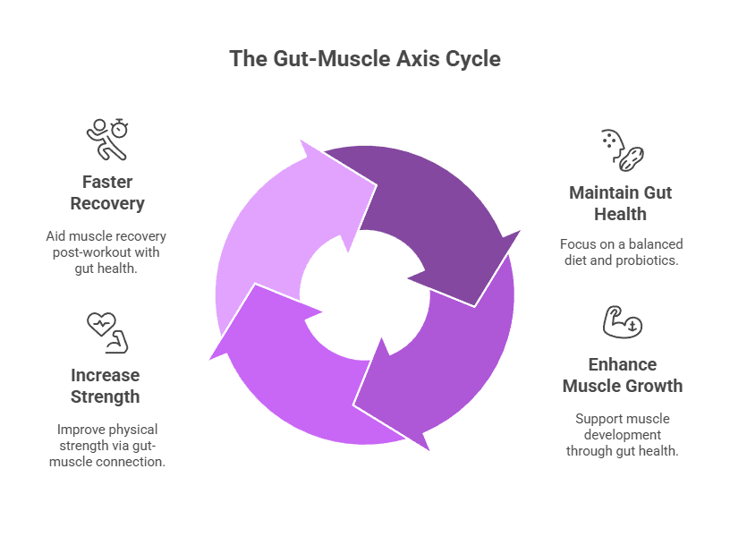 Unlocking Peak Performance: How Probiotics for Fitness Enhance Your Workout Routine 1 The Gut-Muscle Connection: Boosting Your Workout with Probiotics