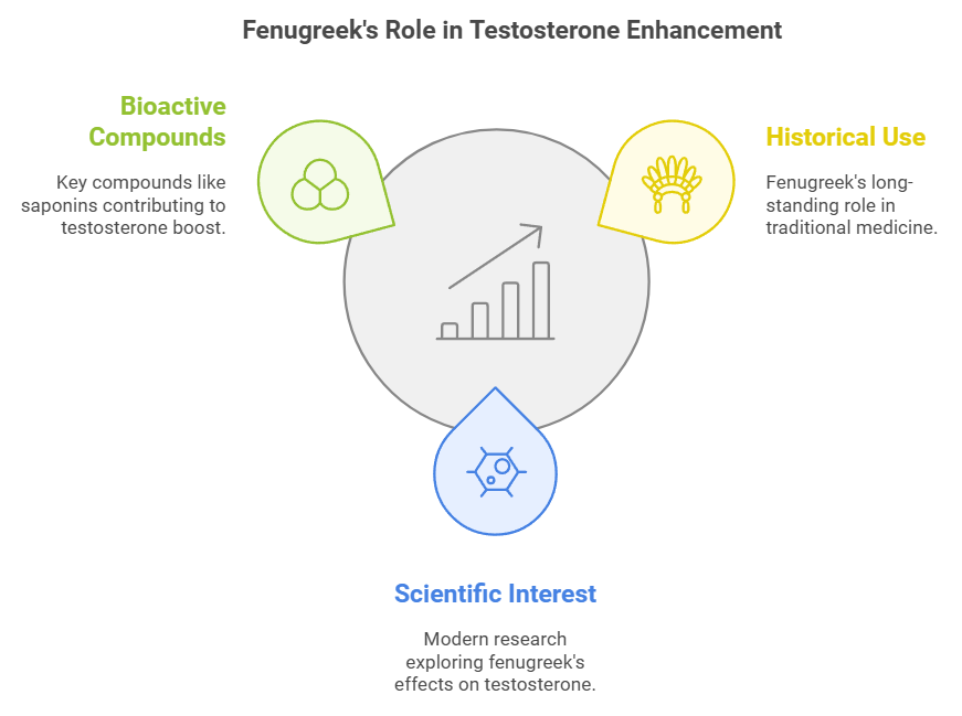 Fenugreek's Role in Testosterone Enhancement