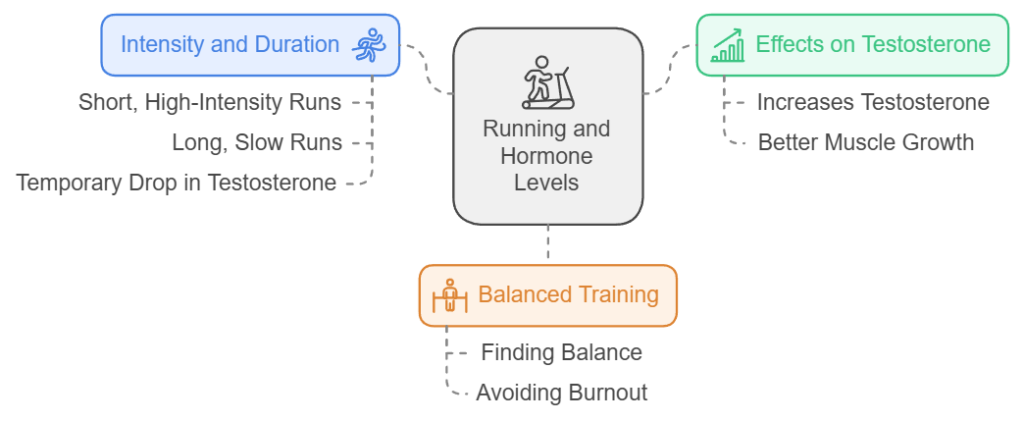 The Science Behind Running and Hormone Levels