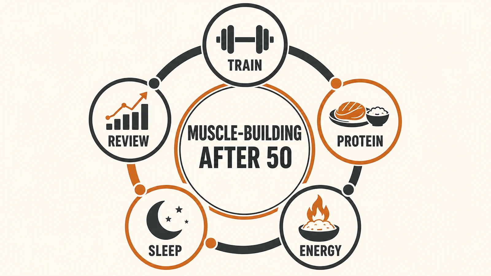 How to Build Muscle After 50 | Training, Protein and Recovery 3 Muscle-building feedback loop after 50 showing training, protein, energy, sleep, and four-week review