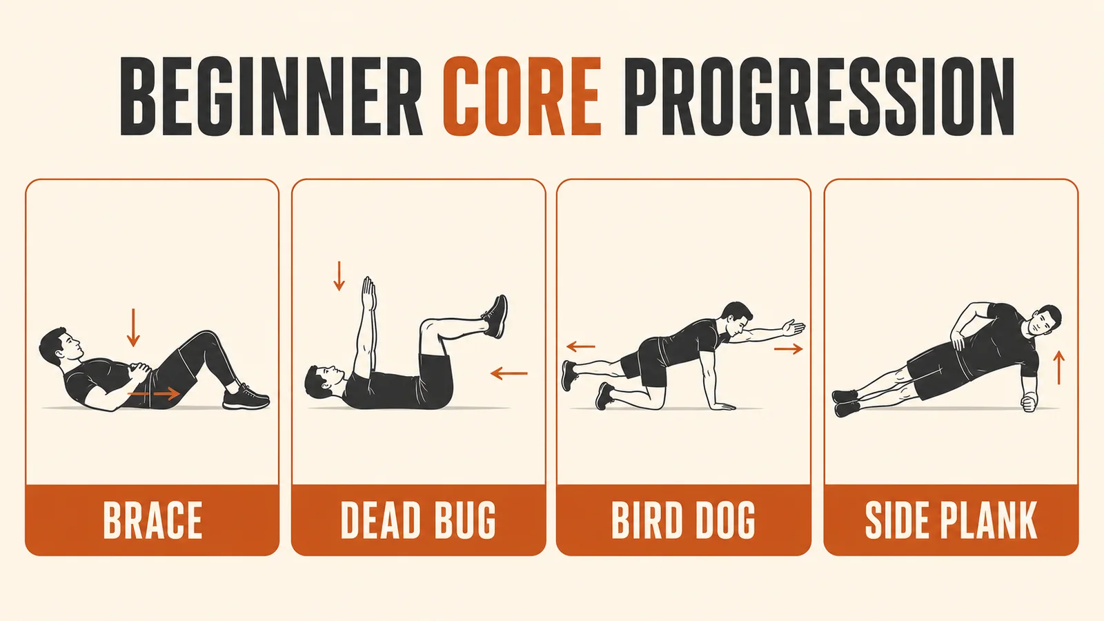 Beginner core progression infographic