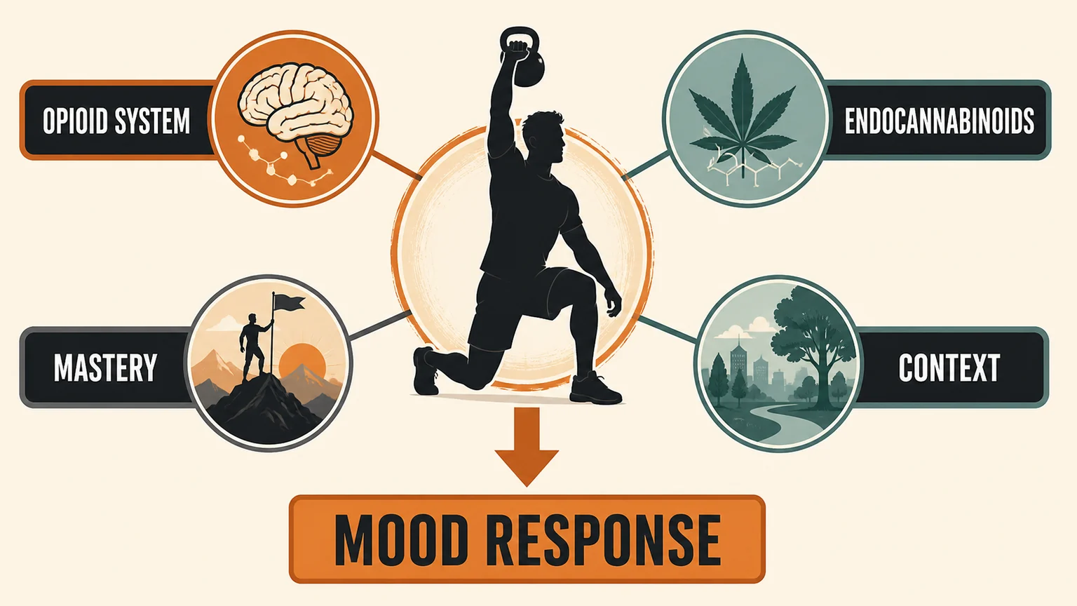 Endorphins and Exercise | What Really Drives the Post-Workout High 6 Exercise mood pathway showing movement endocannabinoids mastery context and recovery